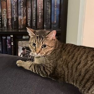 Meet your Posher, Eden